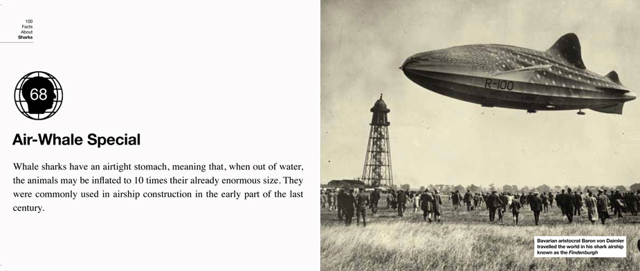 68-Air-Whale